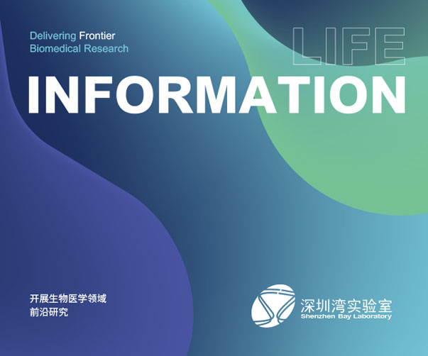 天津Logo設(shè)計(jì)師工資待遇分析