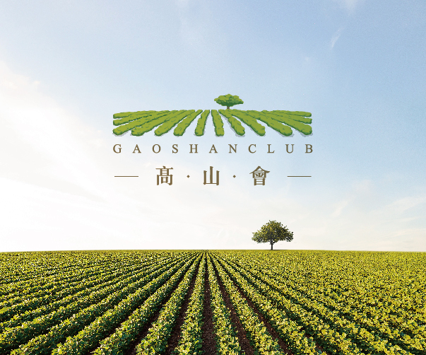 神秘與技術(shù)的交織：探討游戲Logo設(shè)計(jì)的新范式